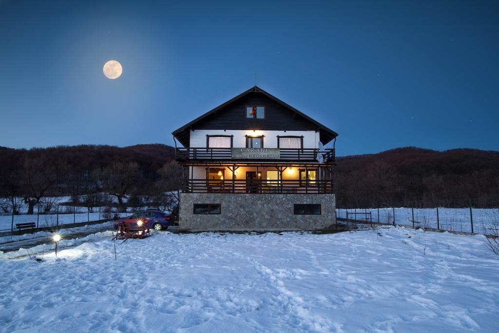 Casa Georgescu Hotel Rîşnov Екстериор снимка